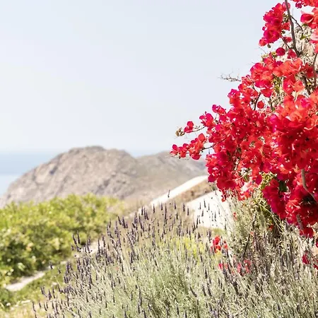 Ammoa Panorama Sotiras