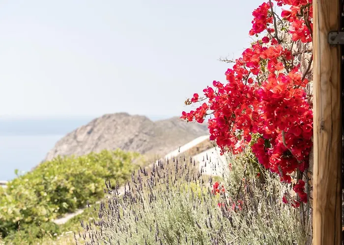 Ammoa Panorama Sotiras